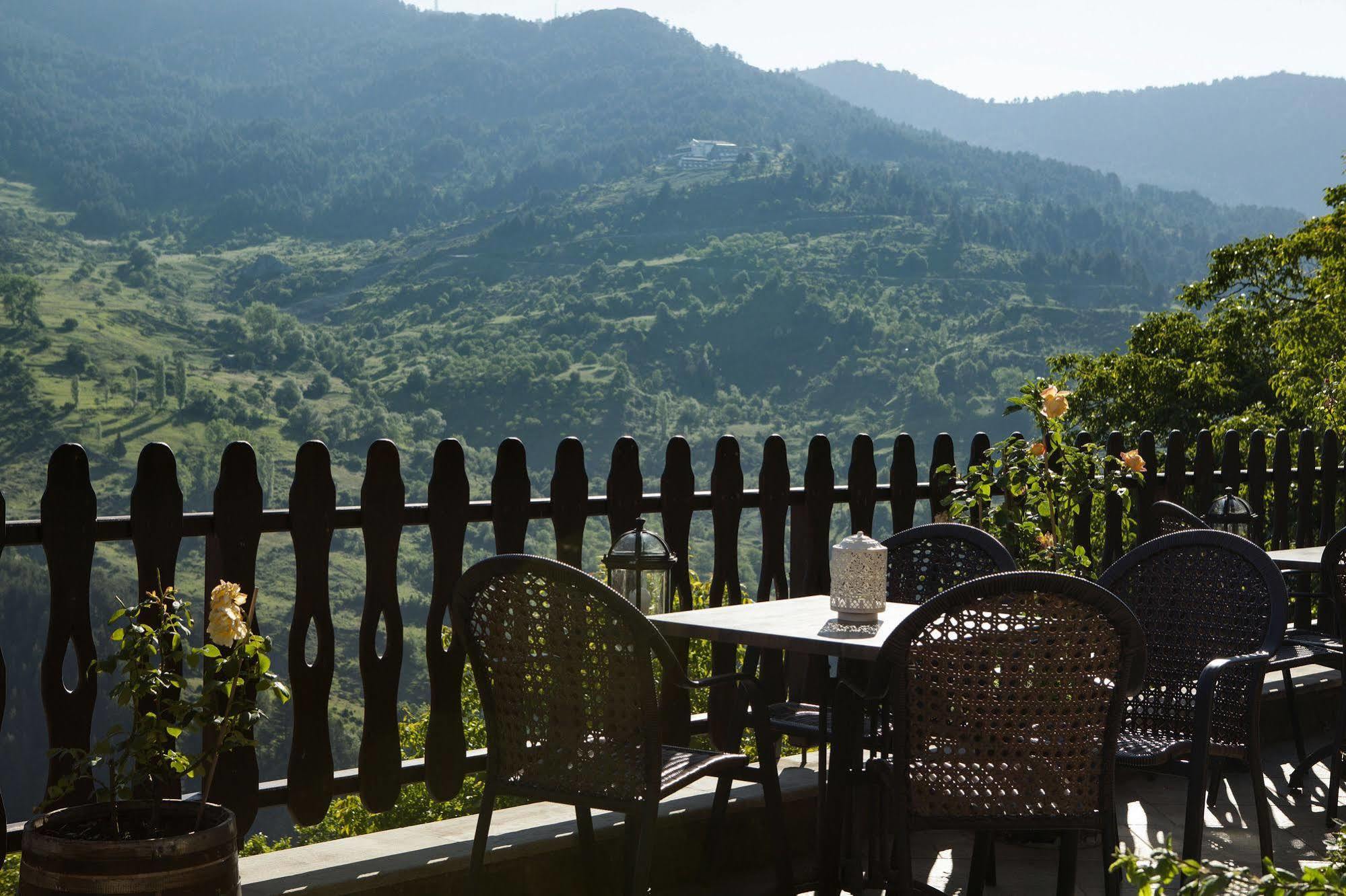 Aroma Dryos Spa & Eco Hotel Metsovo Exterior photo